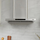 campana-elite-decorativa-60cms-500m3-fdv-15599